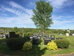 Whitney Pier Jewish Cemetery photo 1
