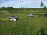 Whitney Pier Jewish Cemetery photo 4