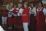 Polish Community Various (2)