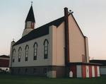 Polish Community Various (20)