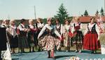 Polish Community Various (22)
