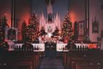 Polish Community Various (28)