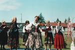 Polish Community Various (30)