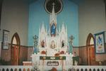 Polish Community Various (34)