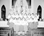 Polish Community Various (56)