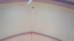 St. Mary's Polish Church 3D Synth Photographs (8)