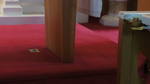 St. Mary's Polish Church 3D Synth Photographs (671)
