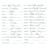 Family genealogical records of John Bereyuk, including wife’s maiden name, brother, sister and their spouses' information as well as any children.
